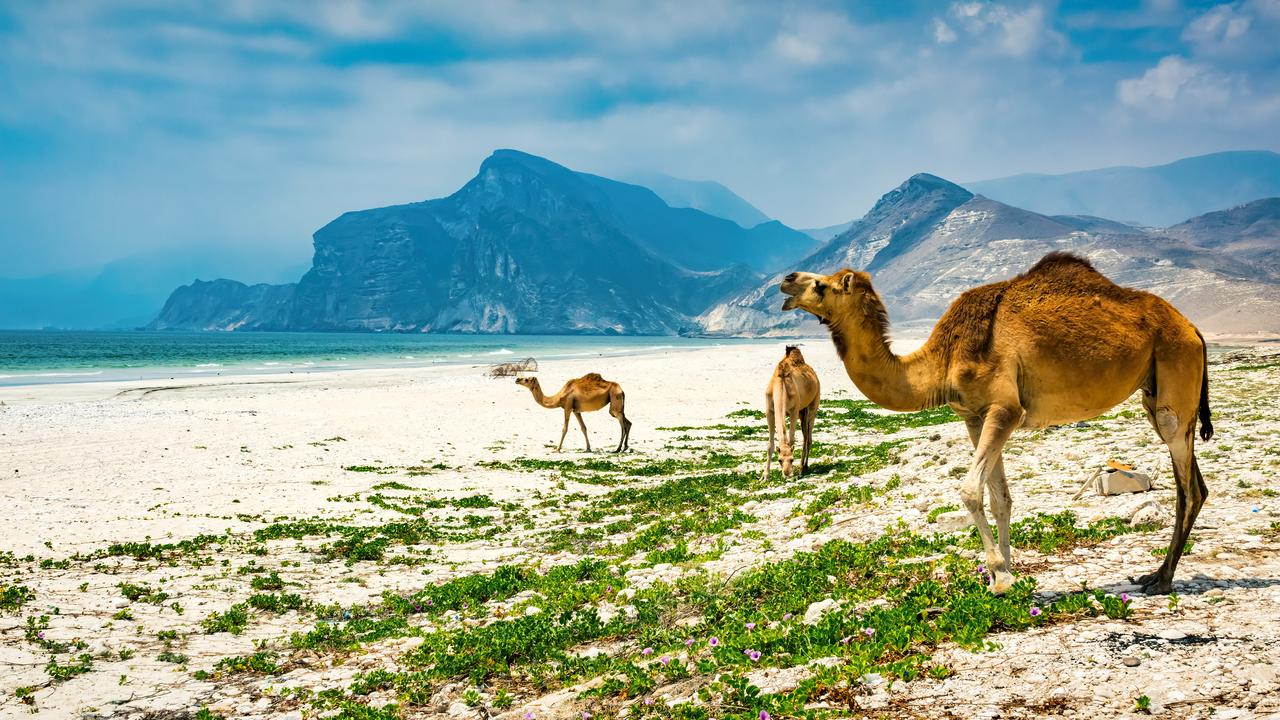 Your Guide to the Ultimate Eid-ventures